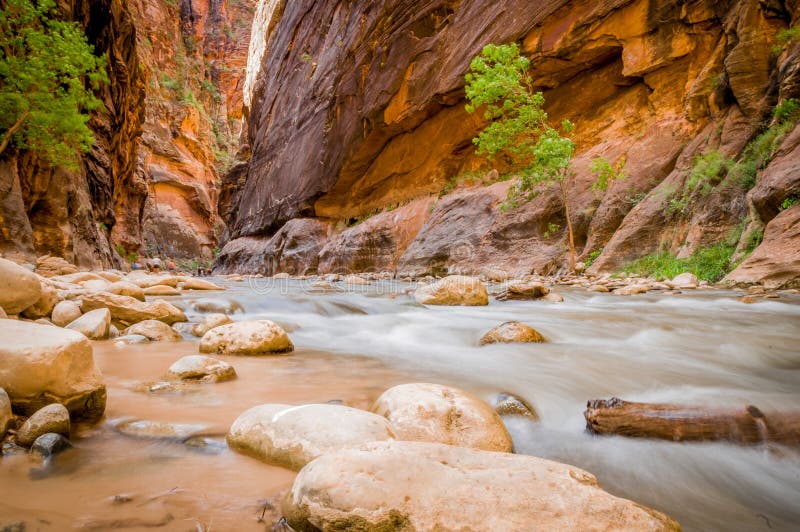 Rivière de Vierge en parc national Utah de zion photos libres de droits Rivière de Vierge en parc national Utah de zion photos libres de droits