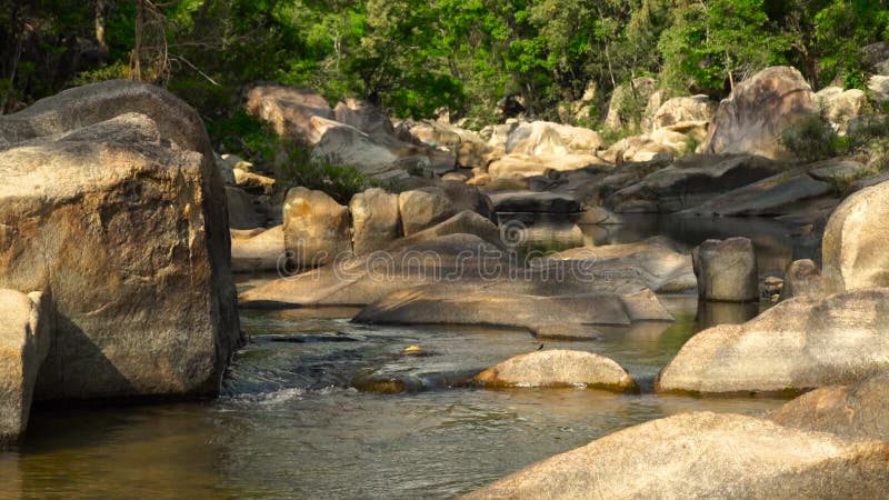 Rivière rocheuse dans la forêt tropicale en montagne de jungle Coulez l'eau propre entrant dans la rivière rocheuse dans la forêt clips vidéos