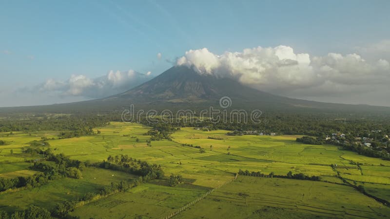 Rivière tropicale avec les banques vertes à l'antenne d'éruption du volcan Mayon Pré à la brume de brouillard de Philippines banque de vidéos