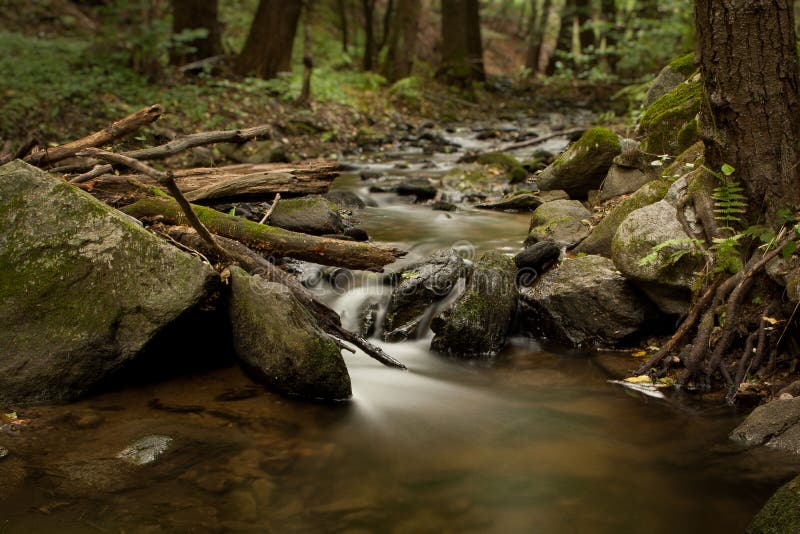 Rivulet stock image. Image of bohemian, brook, flowing 22625525