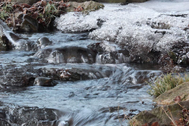 Rivulet stock image. Image of lakeside, green, water, grass 7081759