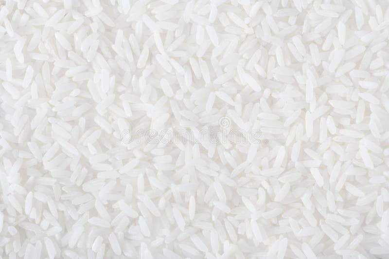 Riz images stock Riz images stock