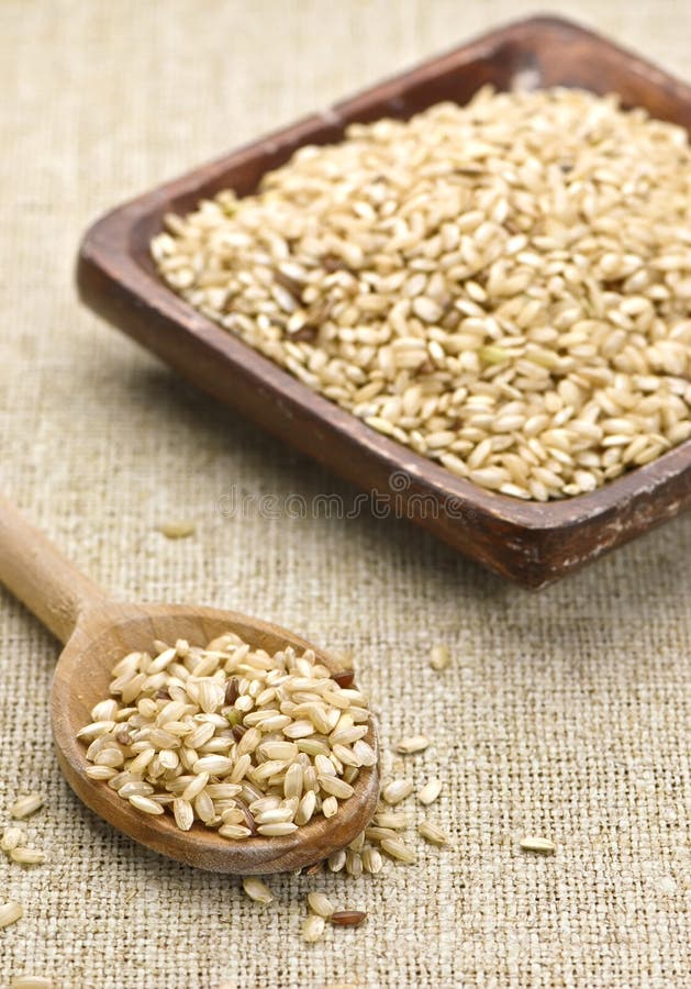 Brown rice in wooden spoon and bowl. Brown rice in wooden spoon and bowl