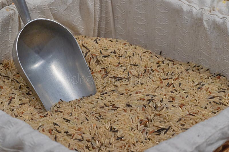 Riz brun brut avec un scoop en acier dans un panier dans un sac de coton Modèle, texture de riz photographie stock libre de droits Riz brun brut avec un scoop en acier dans un panier dans un sac de coton Modèle, texture de riz photographie stock libre de droits