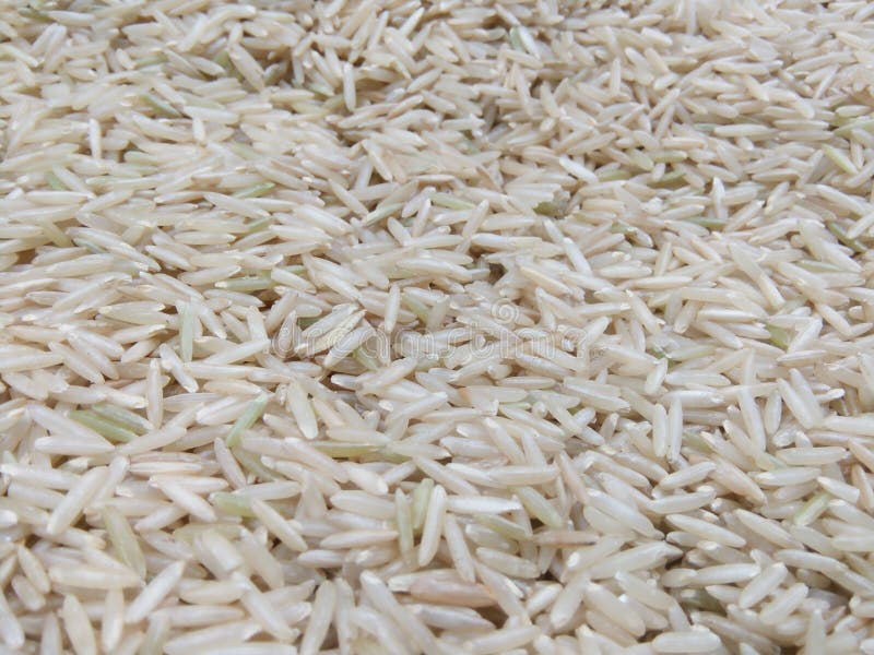 Riz brun images stock Riz brun images stock