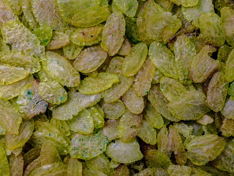 Riz vert vietnamien flocons riz grillé. le riz a été grillé pour faire ressortir sa délicate. il est fabriqué à partir de riz gluant impeccable.