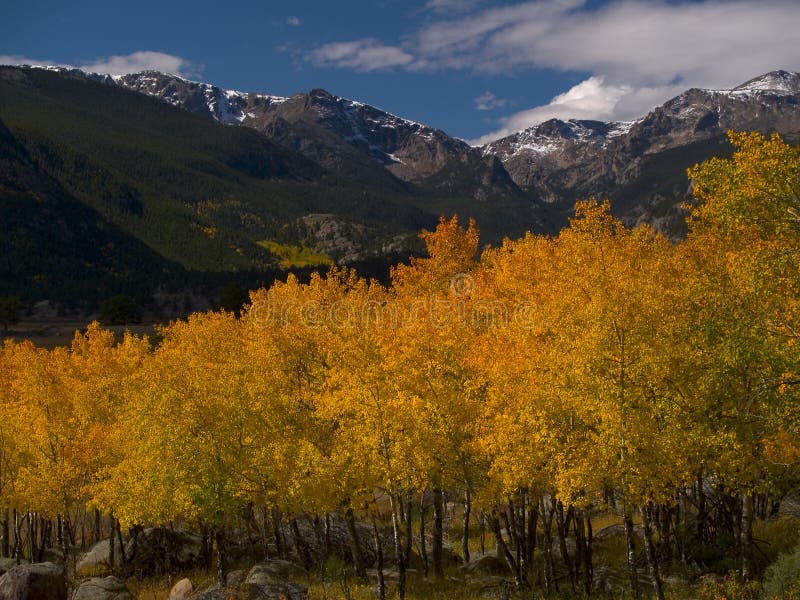 RMNP Autumn