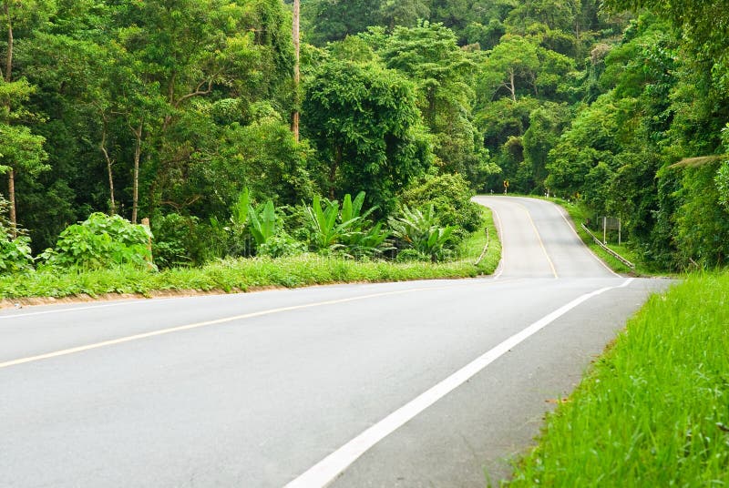 Strade modo tailandia foresta 