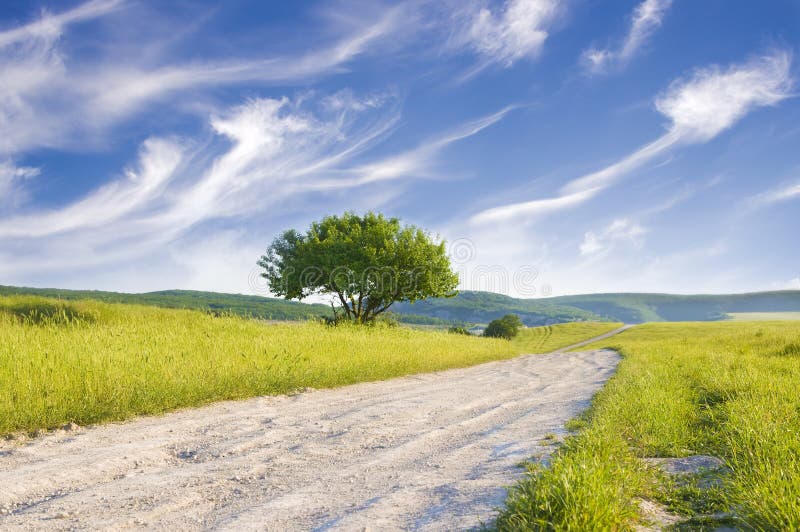 Road amongst green meadow stock photo. Image of outside 25178252