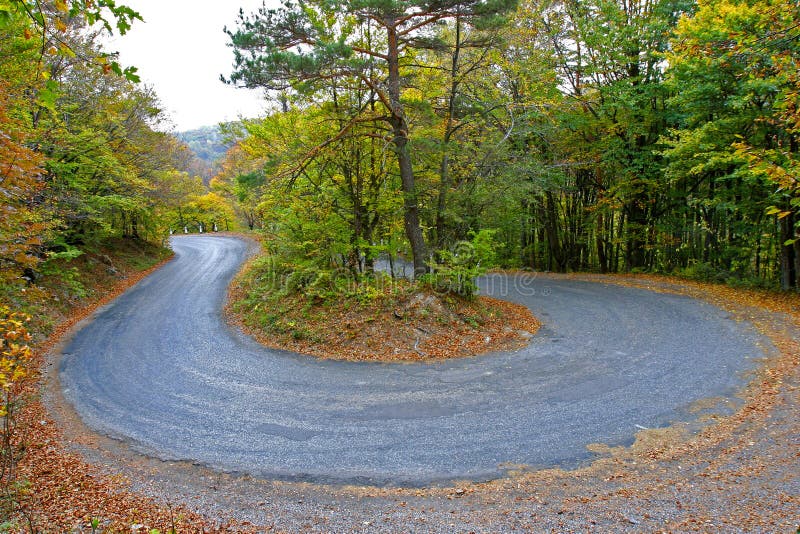 Road in autumn forest