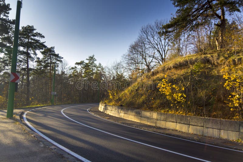 Road through the autumn forest