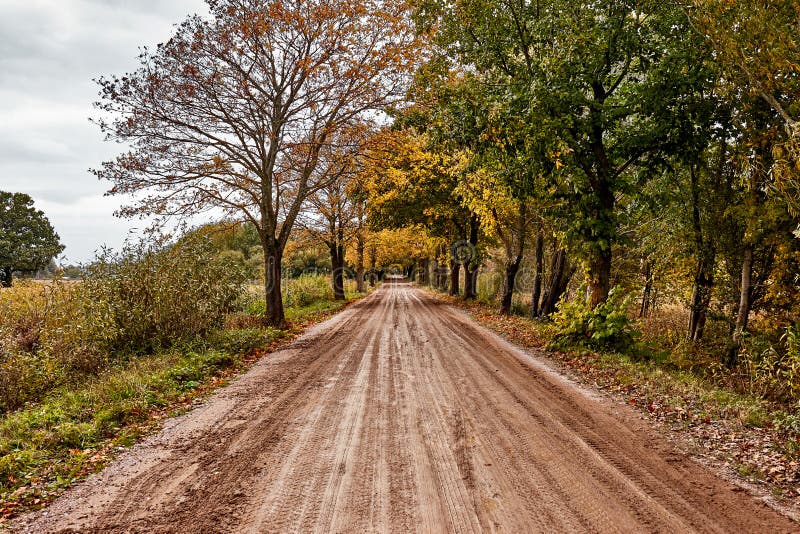 Road in the Autumn Forest. Dramatic Sky and Orange Field. Landscape ...