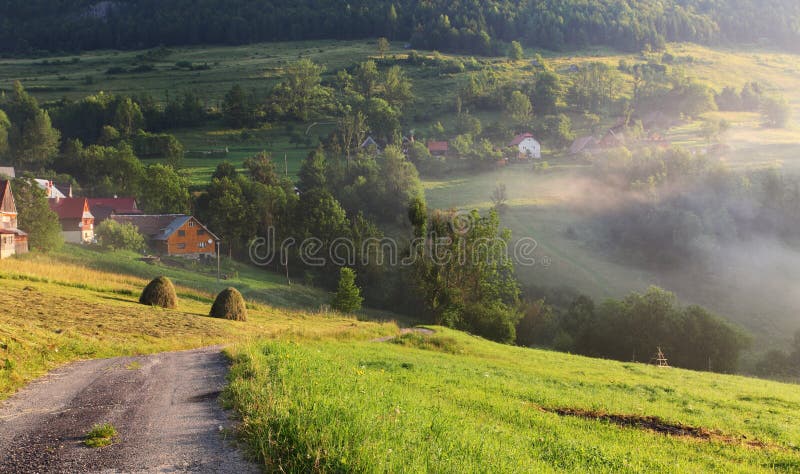 Road in beaty moutains nature