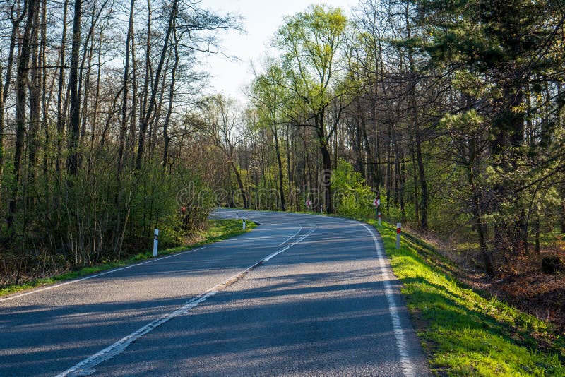 Road with a Bend in the Spring Forest Stock Photo Image of forest