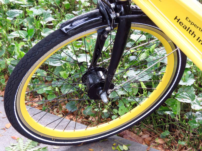 Bicycle Wheel, Bicycle, Road Bicycle, Tire Picture. Image 111027790