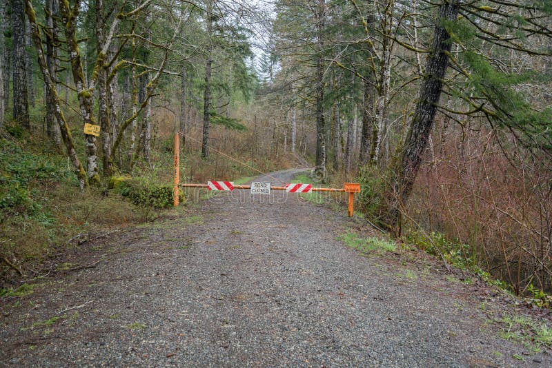 Road Closed in Forest stock photo. Image of road, countryside 91525634