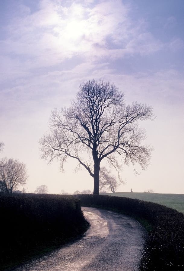 Road through countryside