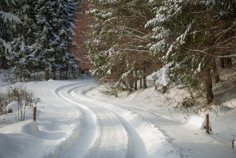 Road Covered in Snow through a Winter Forest Stock Photo - Image of ...