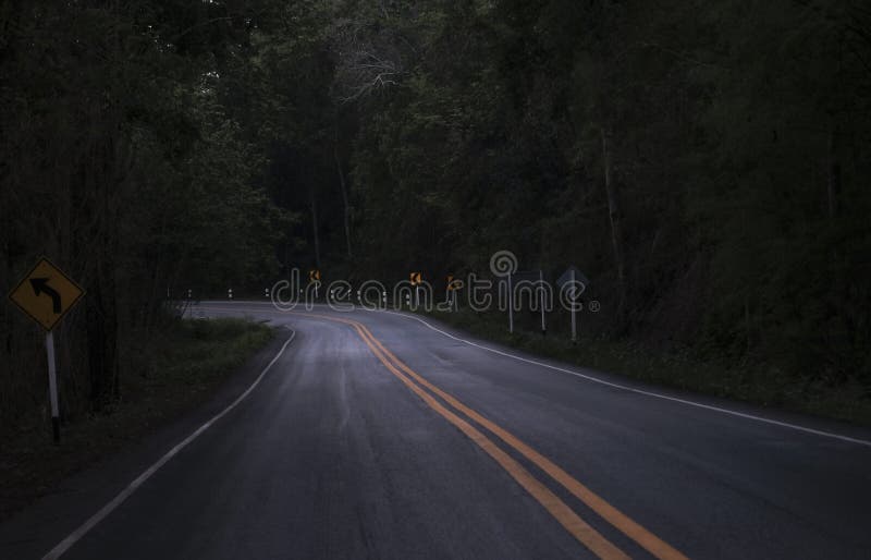 Road on the dark view on the mountain road among green forest trees / curve asphalt road lonely scary at night