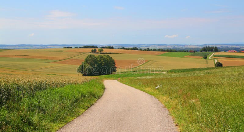 Road in fields