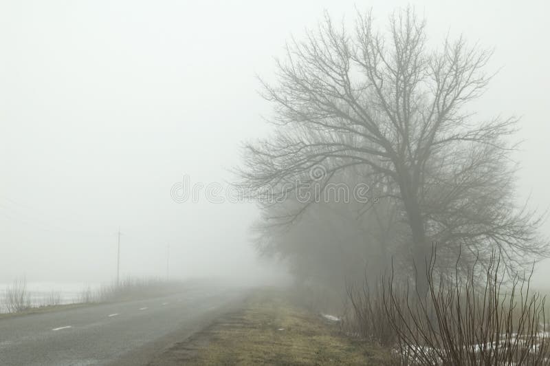 Road in fog