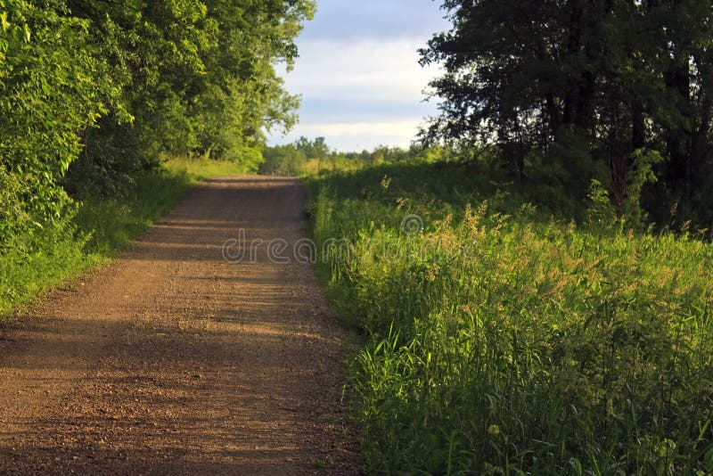 Road in forest/meadow