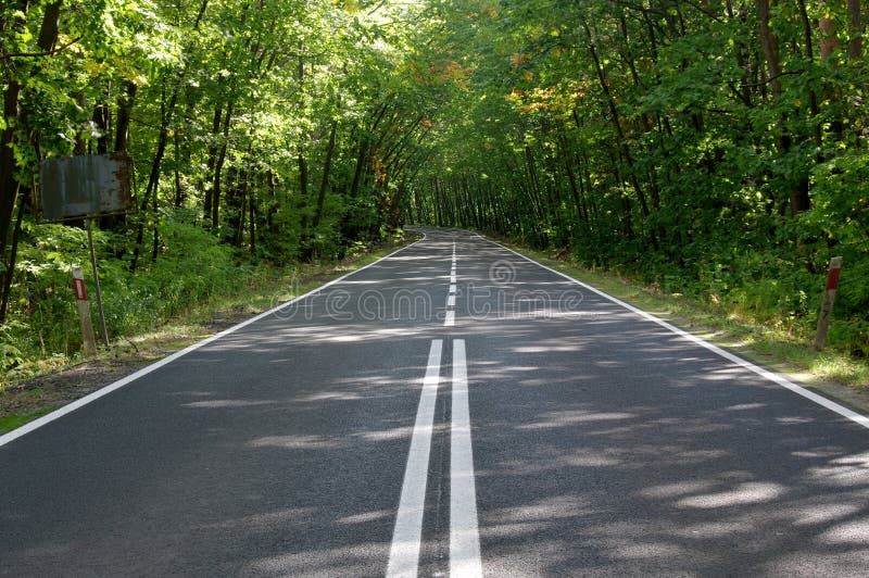 The road through the forest.