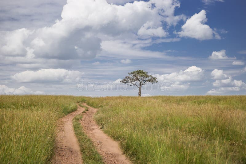 Road Going through the Maasai Mara National Park (Kenya) Stock Photo