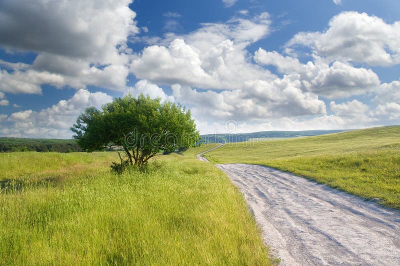 Road on green meadow stock image. Image of land, nature 20252807