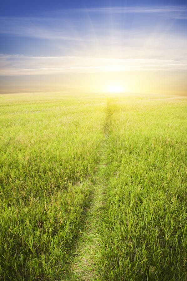 Road on green meadow stock image. Image of country, outdoor 21069621
