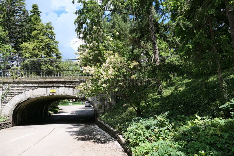 A stone bridge ahead royalty free stock photos A stone bridge ahead royalty free stock photos