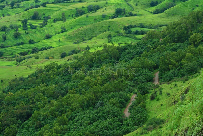 Road through a Green Prosperity Stock Image Image of himalayan, range