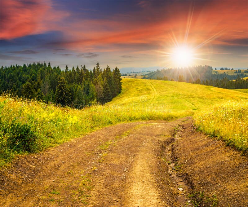 Road on hillside meadow in mountains. fir forest on sides of the road in evening light. Road on hillside meadow in mountains. fir forest on sides of the road in evening light