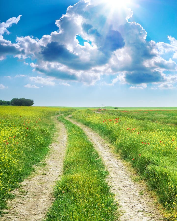 Road Lane And Deep Blue Sky Stock Photo Image Of Blue Agriculture