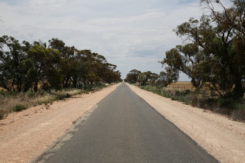 Road, Path, Tree, Sky Picture. Image: 134701316