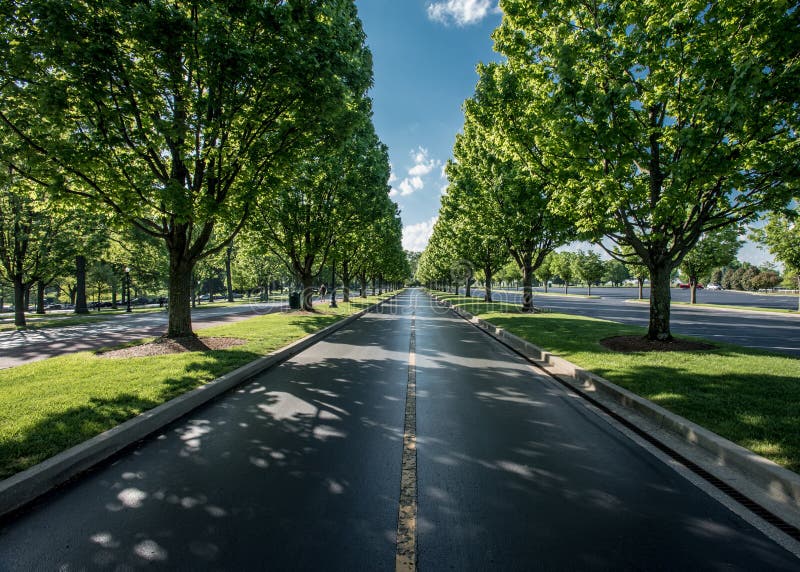 The Road Leaving Keeneland. In summer royalty free stock photo