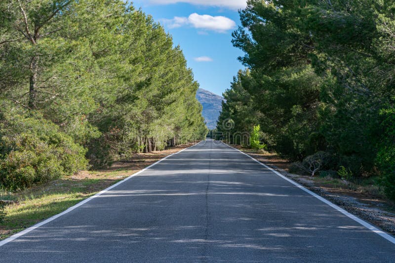 Road with a Long Straight Line Stock Photo - Image of empty, background ...