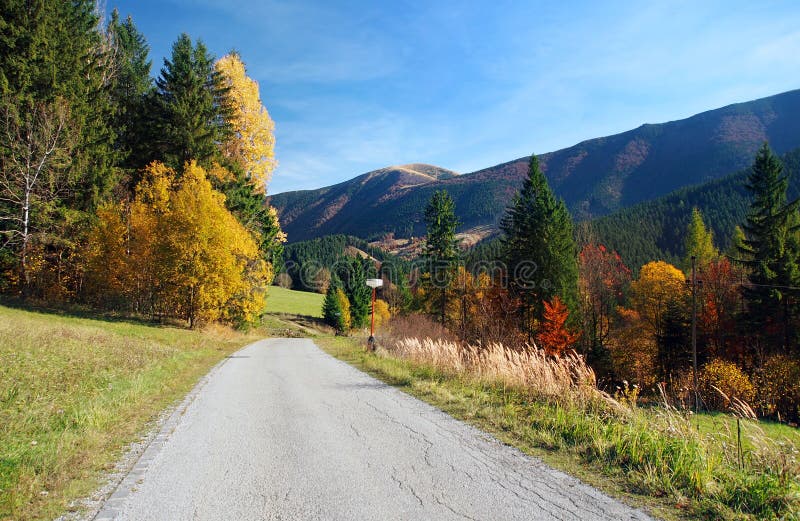 Road in Mala Fatra National Park