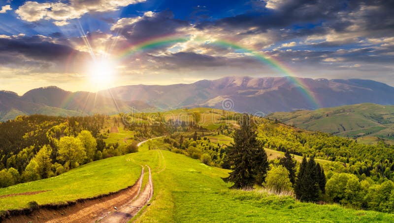 Road through the meadow on hillside at sunset