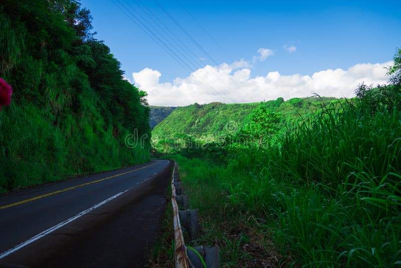 mountain jungle sunset piccollage mountain jungle sunset piccollage