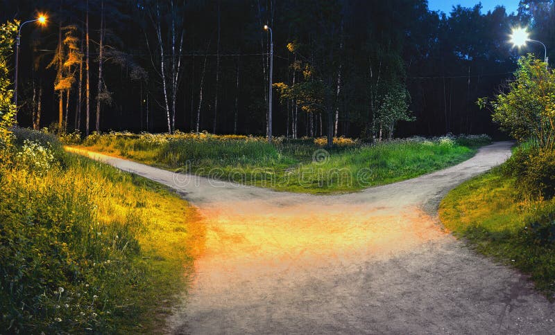 The road in the park at night is divided into two hiking trails diverging in different directions, illuminated by. The road in the park at night is divided into royalty free stock photo