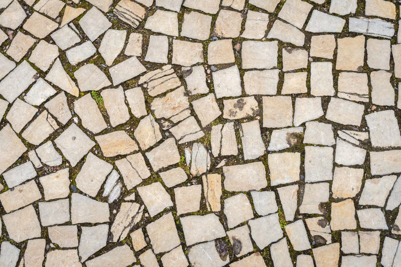 A Road Paved with Stones, a Green Grass between Stones on the Sidewalk
