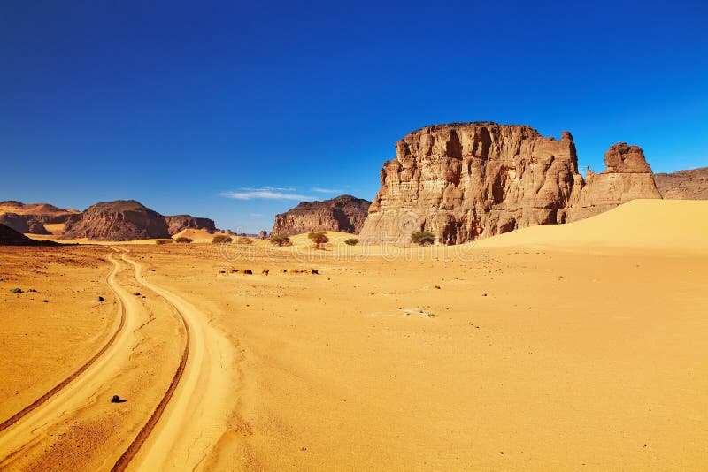 road trip desert algerie