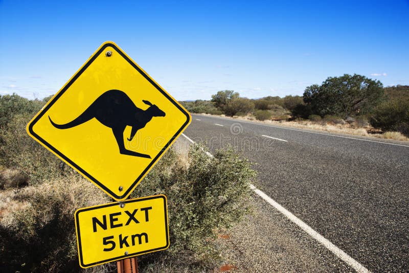 Klokan prekročení prihláste sa po ceste na vidieku v Austrálii.