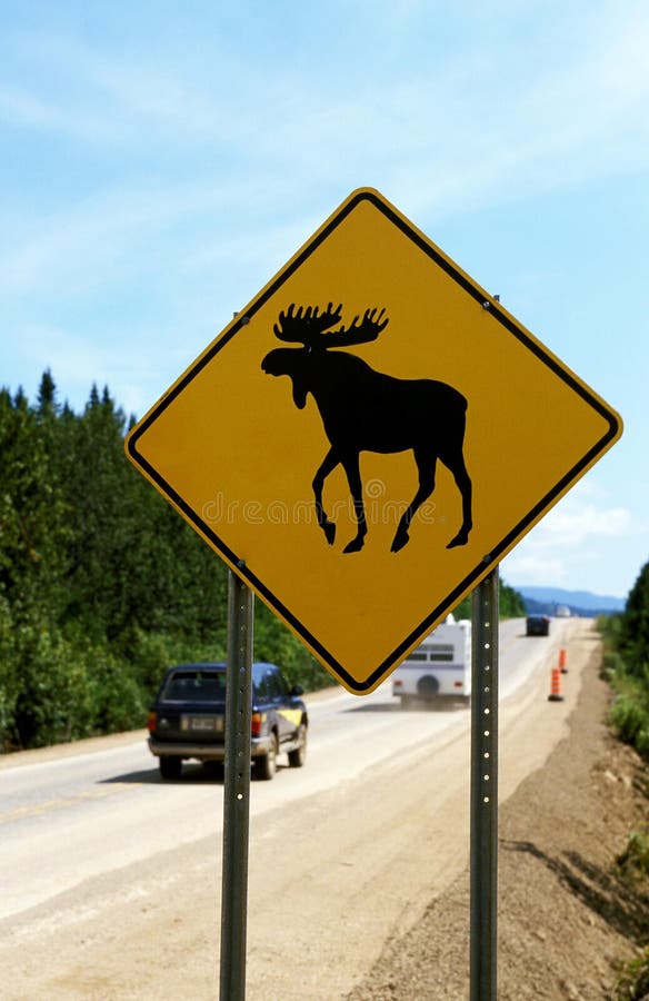 ROAD SIGN with MOOSE, ALASKA Stock Photo Image of mammal, alces