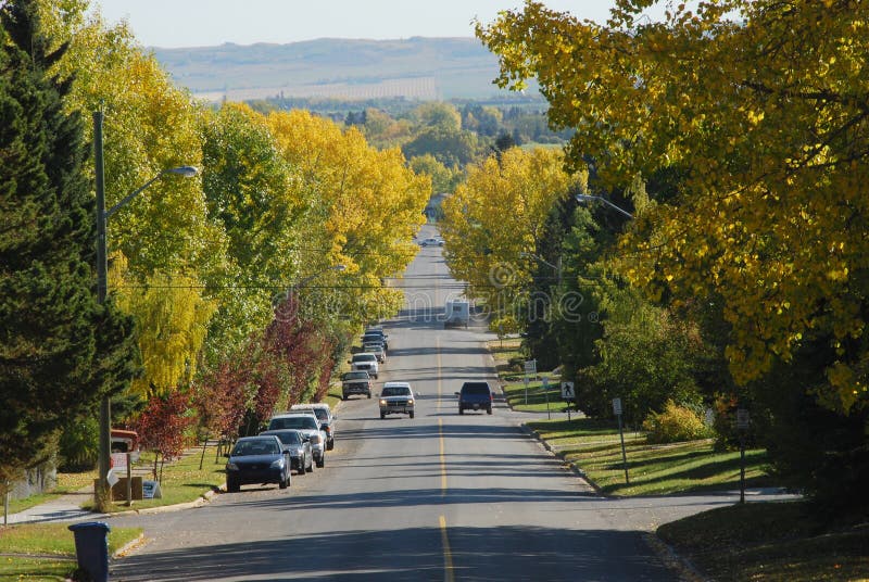 Road in a small town