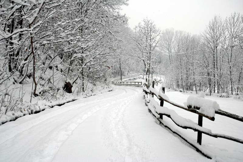 Road in the snow