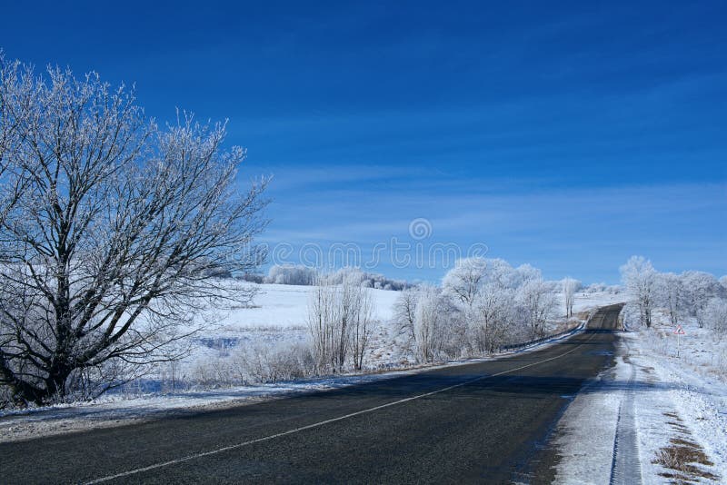 Road in snow forest