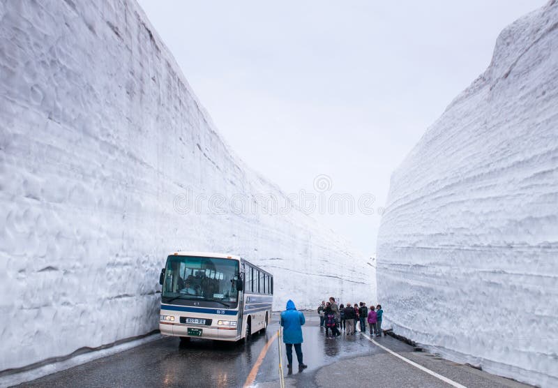 Road between Snow wall at Tateyama Kurobe Alpine Route, Toyama -