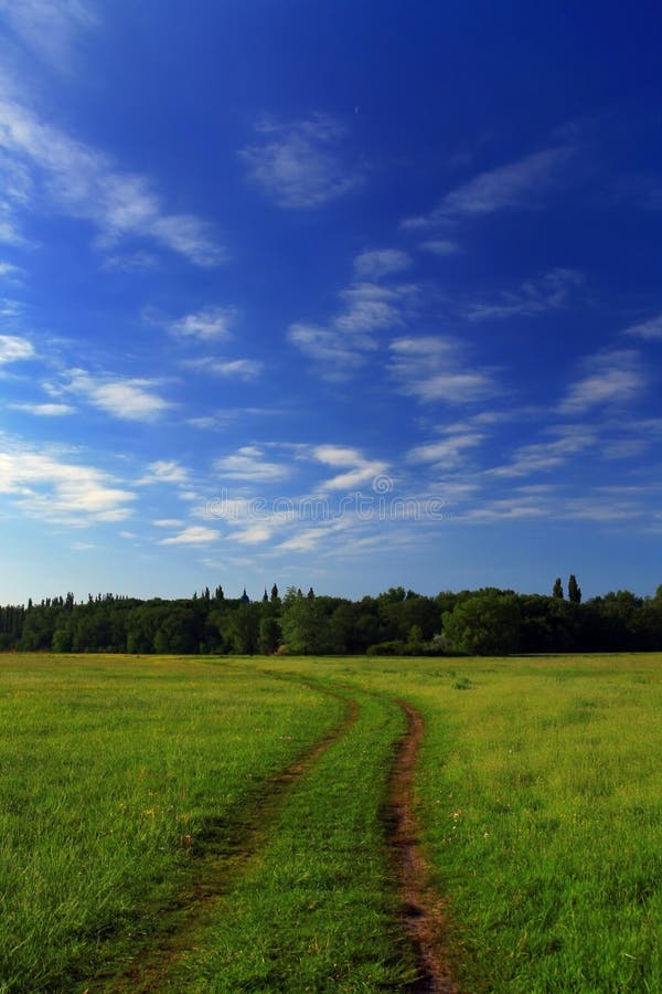 The road in the spring